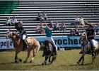 Pferd International 031